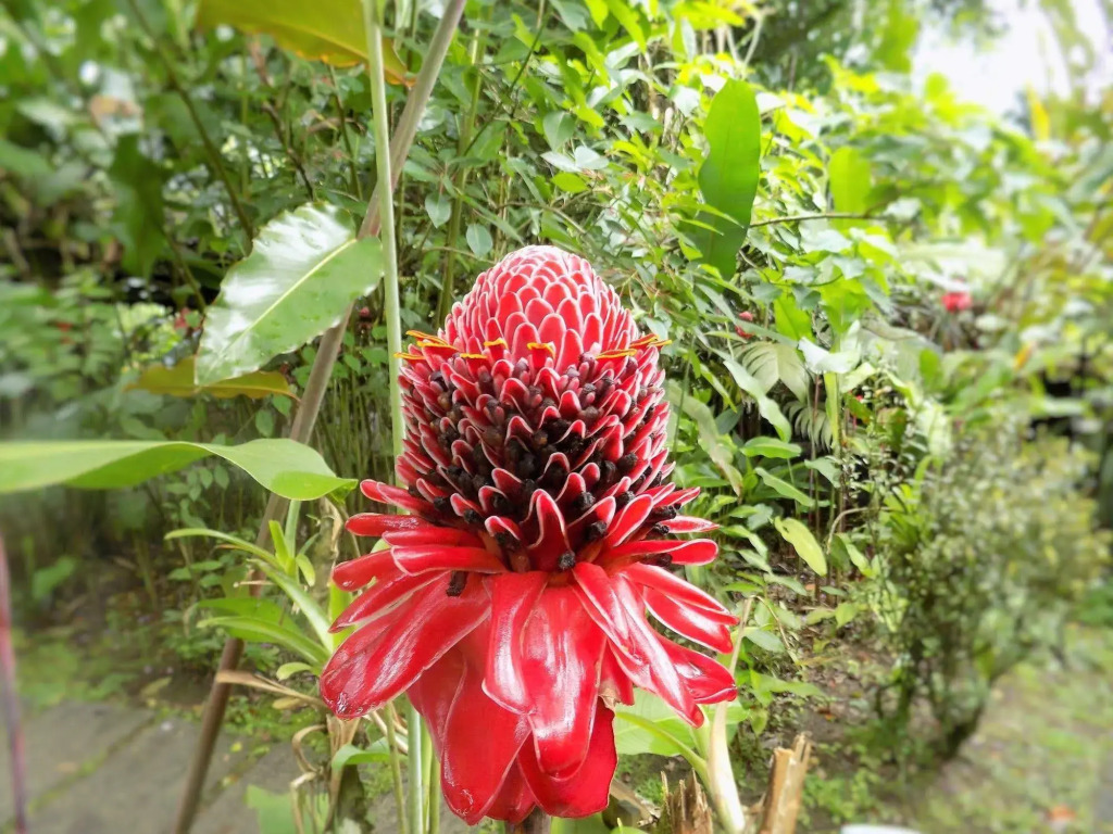 Rancho Margot - All meals included - фото 36