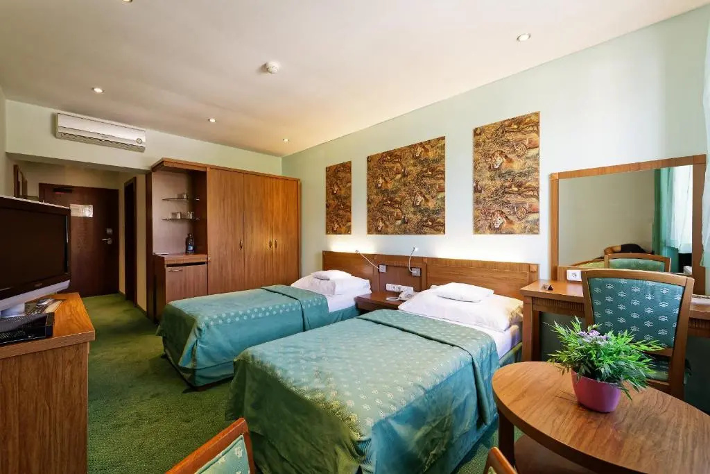 Standard Double room (twin beds)