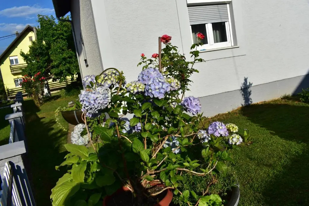 House Burić - Chambres