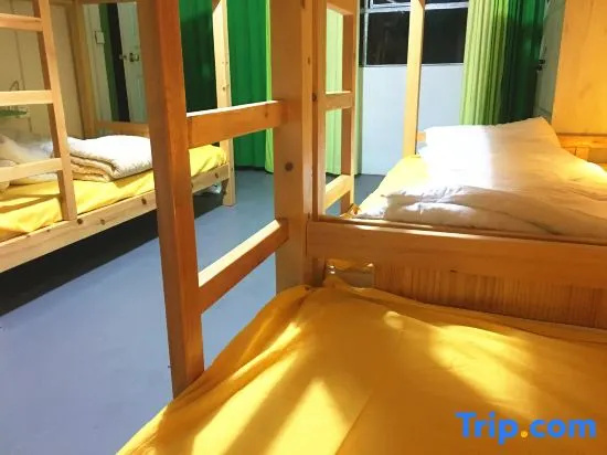 Bed in Dorm