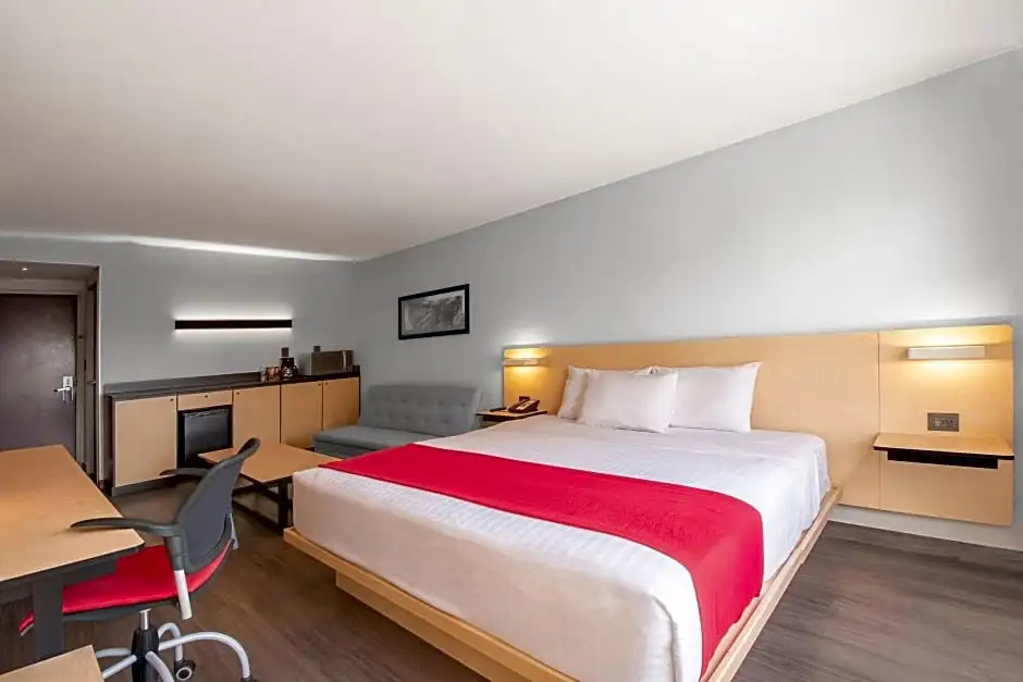 Suite