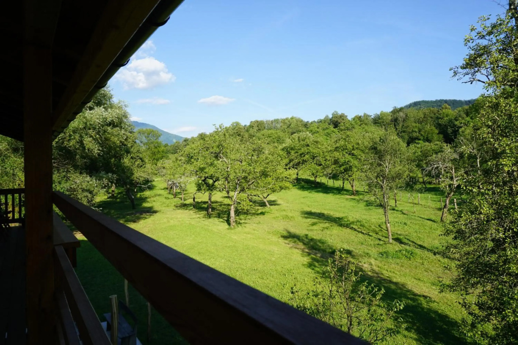 ecoHouse FURLAN - Apartment PINJA