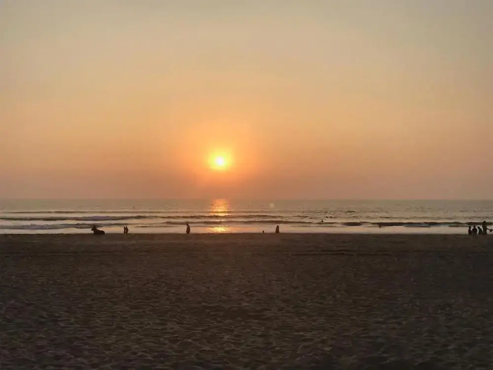 Madhu Beach Huts - Général