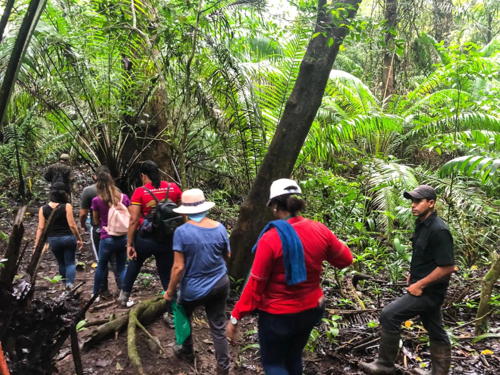 Summit Rainforest & Golf Resort - фото 49