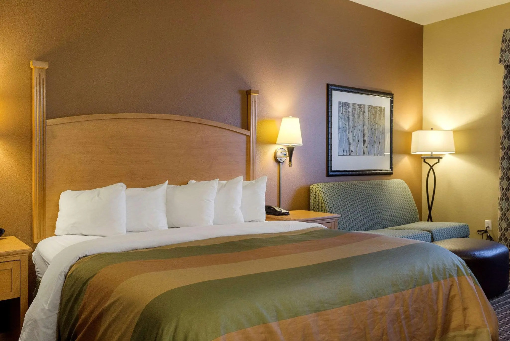 1 Bedroom Suite