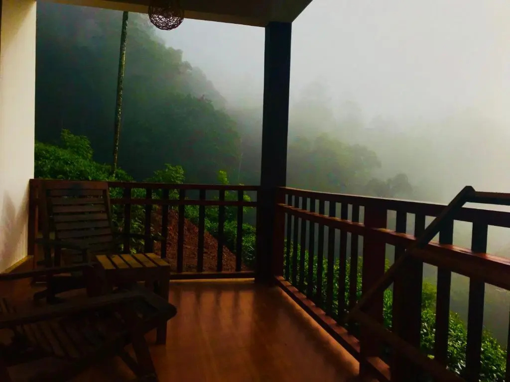 Rainforest Lodge - Chambres