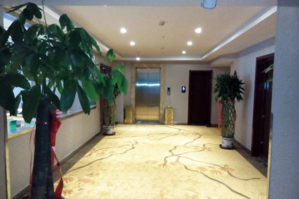 GreenTree Inn Geermu Walking Street Business Hotel - Général