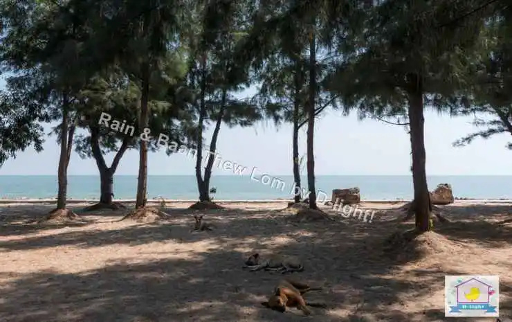 Beach & Waterfront