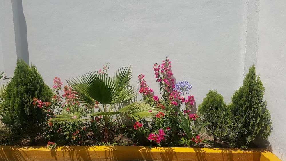 Hotel Mirante Tlaxcala - фото 19