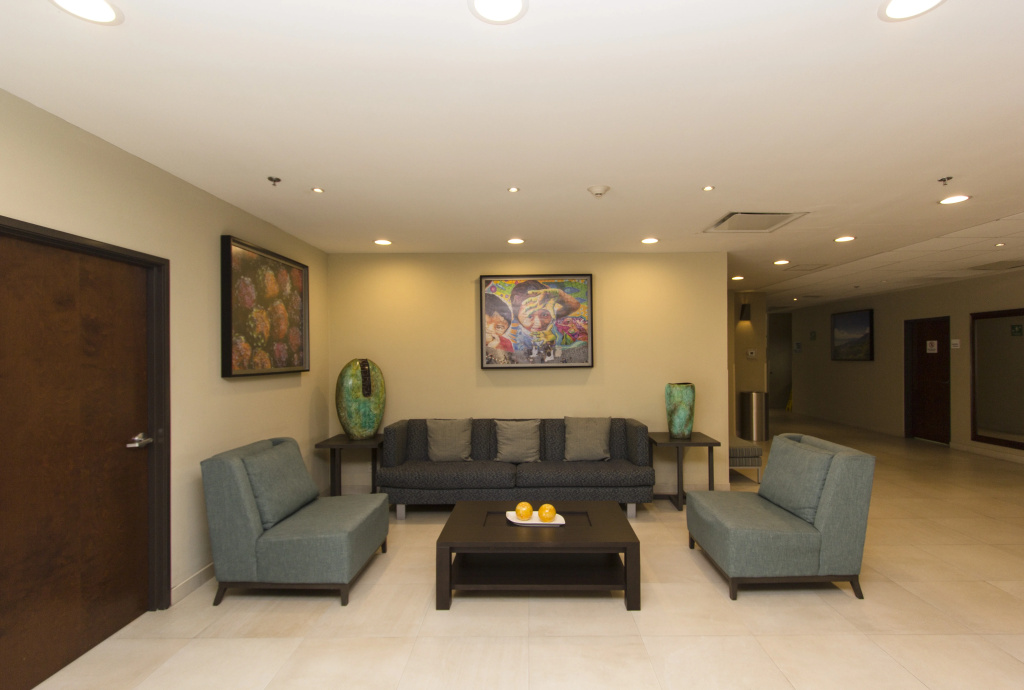 Holiday Inn Express Guadalajara Aeropuerto by IHG - Général
