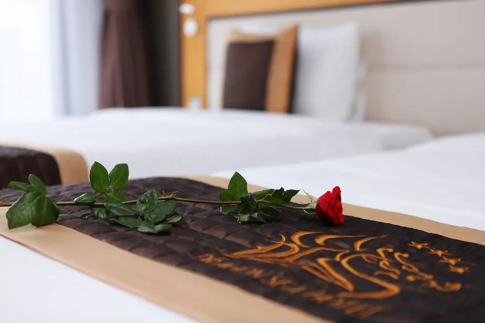 Dragon Sea Sam Son Hotel - Chambres