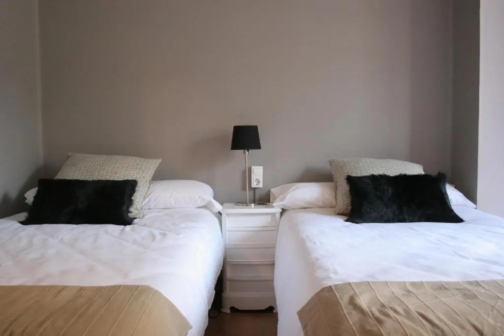 Standard Double room (twin beds)
