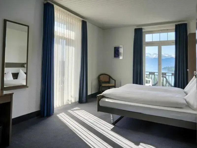 Standard Double room with lake view (full double bed)