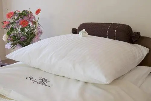 Skalny Dworek - Chambres