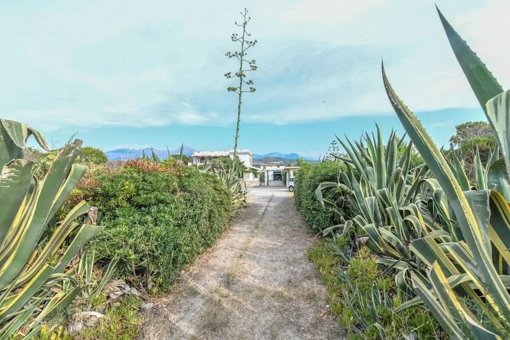 3-Casa sul mare con piscina vicino Cefalù