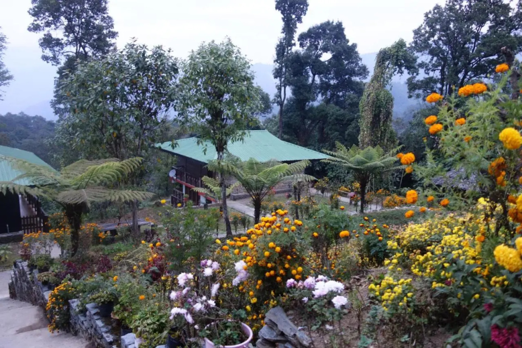 The Barfung Retreat - Général