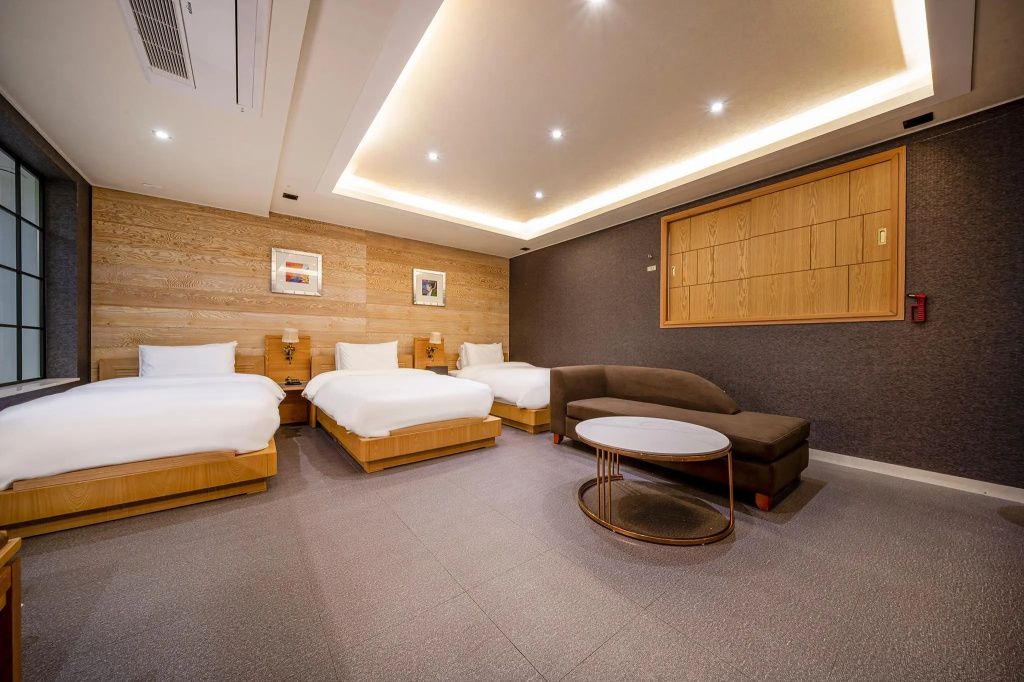 IB Hotel Seomyeon — 5