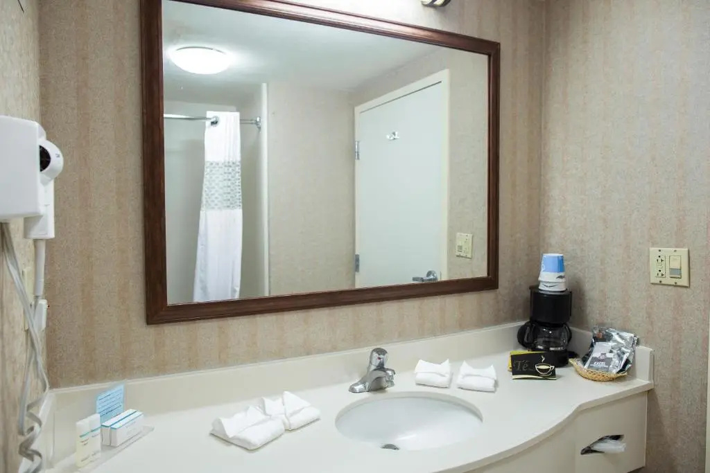 Hampton Inn by Hilton Torreon-Airport Galerias - Chambres