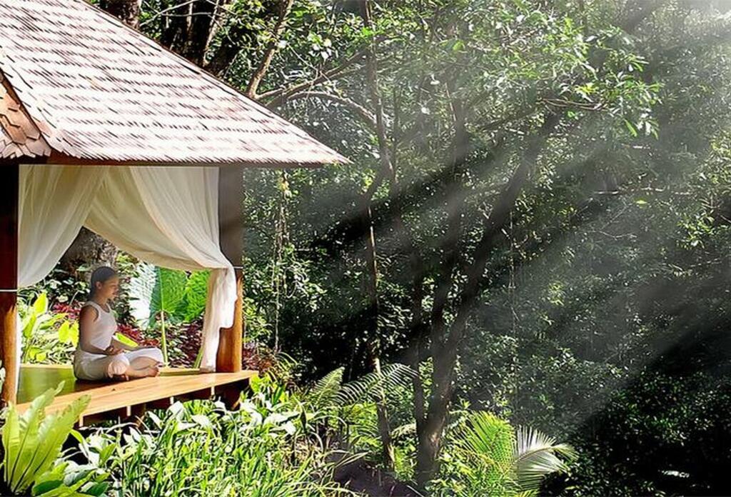 Maya Ubud Resort & Spa