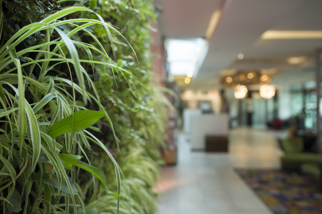 Hotel Verde - Cape Town Airport by null