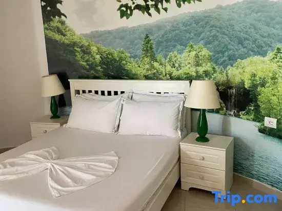 Vila Florika Hotel - Chambres