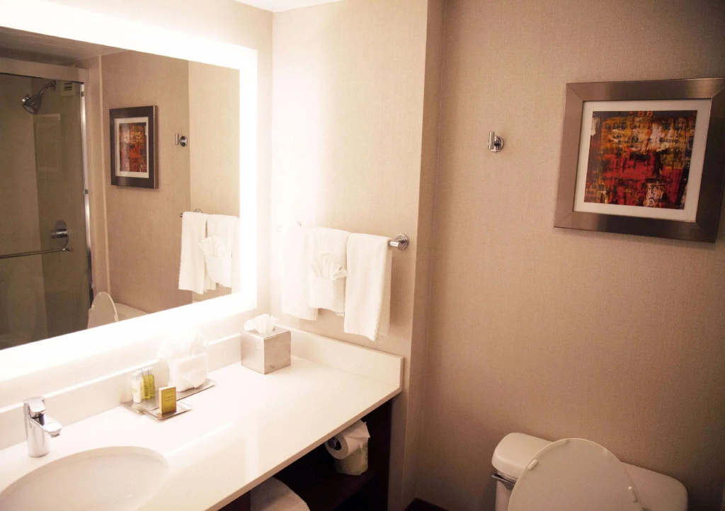 The Brookhaven Atlanta Hotel - Chambres