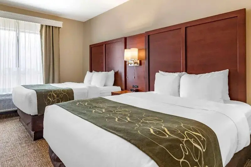 Quadruple Suite