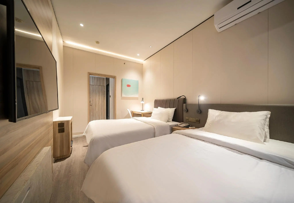 Standard Double room (twin beds)