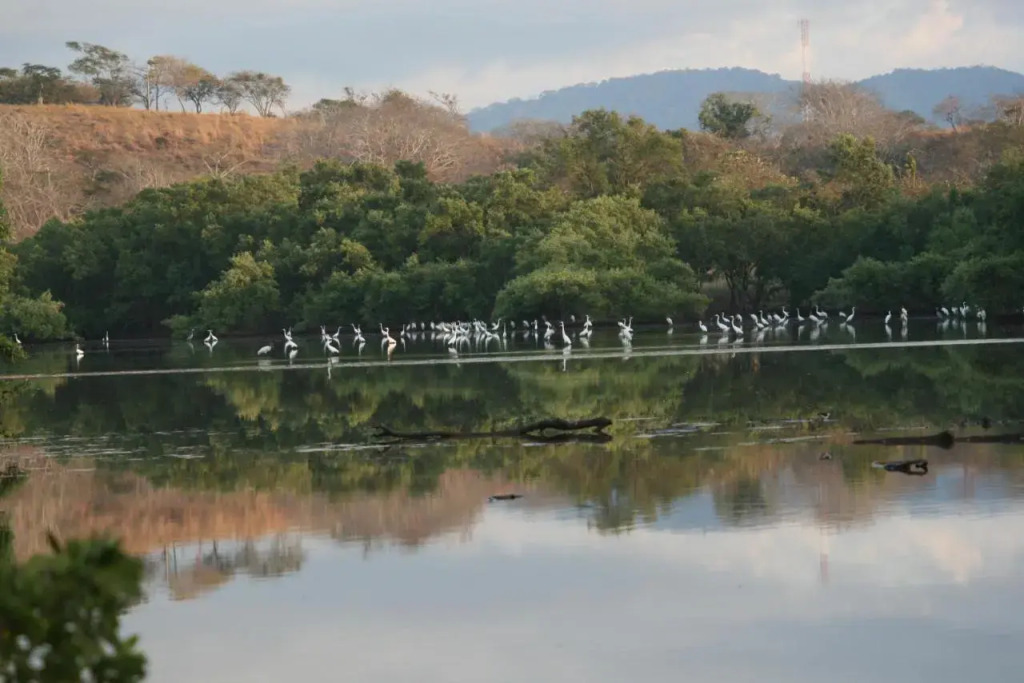 Sol Pacifico Lodge - фото 18