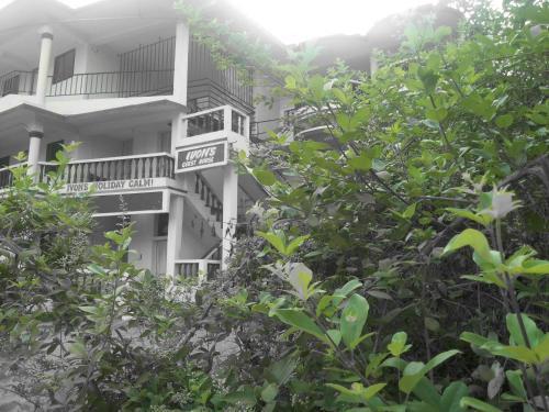 Ivon Guest House, Arambol Beach
