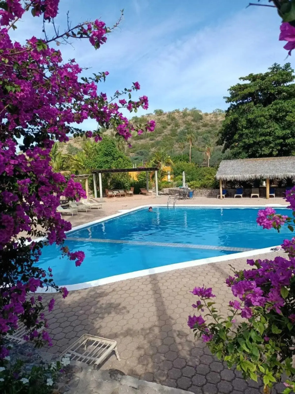 Hotel photo 27
