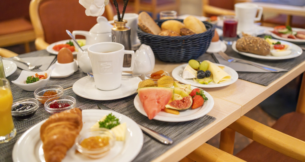 PLAZA INN Chemnitz - Général