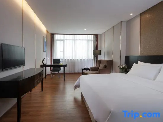 Standard Double room with city view (full double bed)
