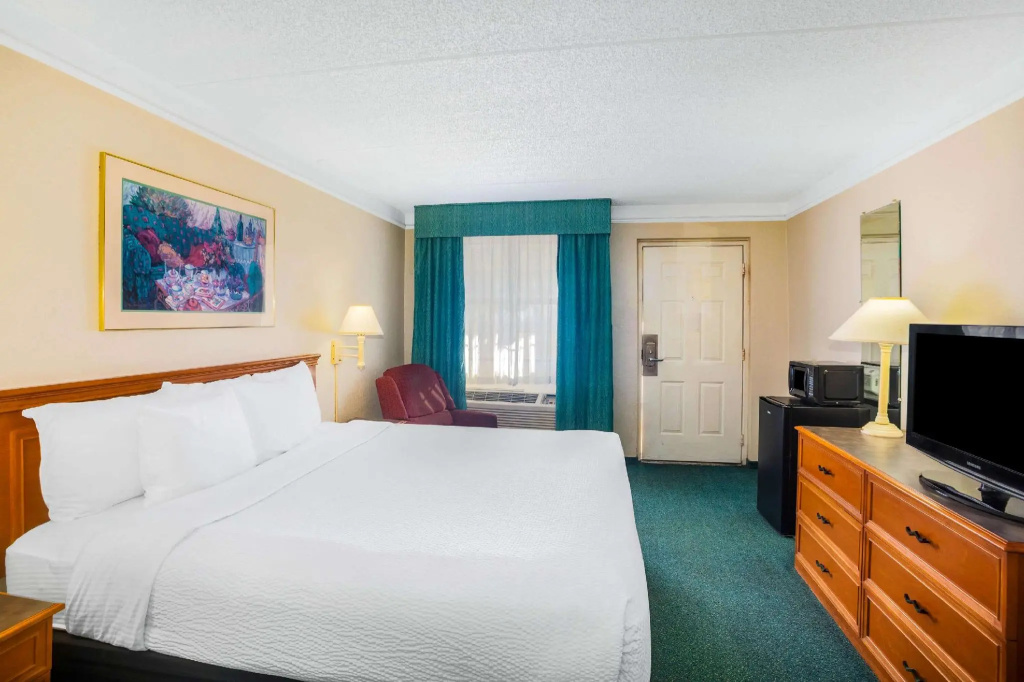 Standard Double room (full double bed)