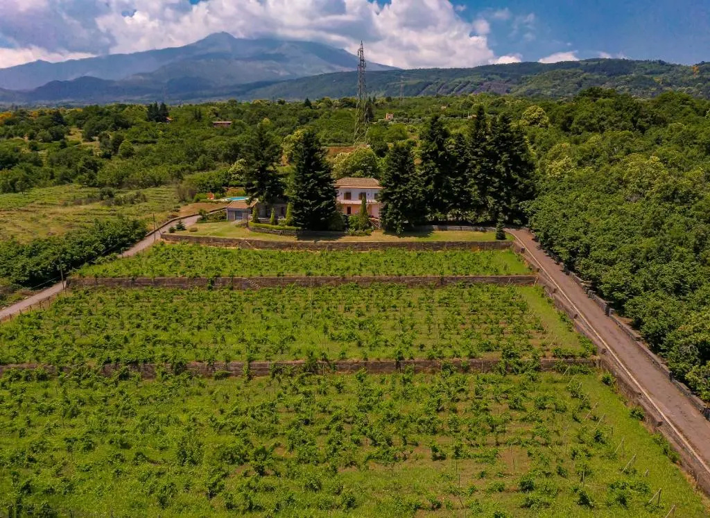 Le Vignoble Charming Maison - Chambres
