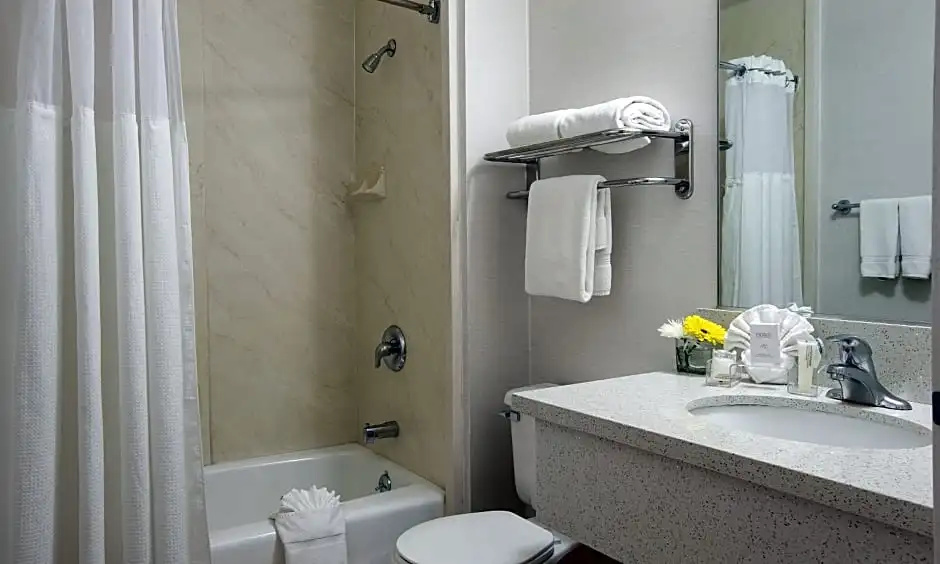 Safari Inn Burbank/Universal, a Coast Hotel - Chambres