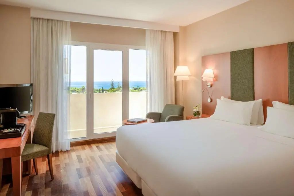 Superior Terrace Double room (full double bed)