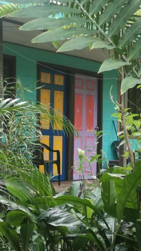 Hostal y Cabinas Tortuguero by null