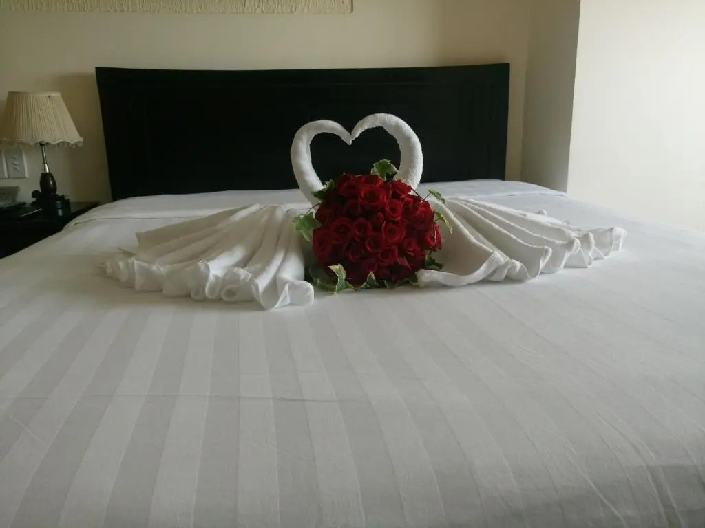Superior Double room (full double bed)