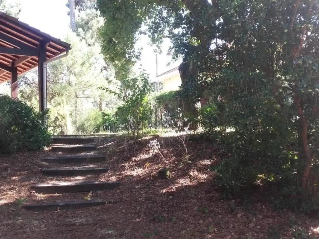 Voir la photo 2 — Villa Arcachon, 5 pièces, 10 personnes - FR-1-319-66