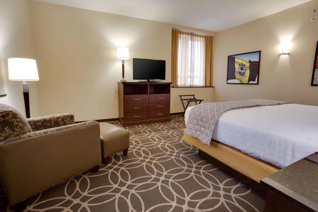 Drury Plaza Hotel Pittsburgh Downtown - Général
