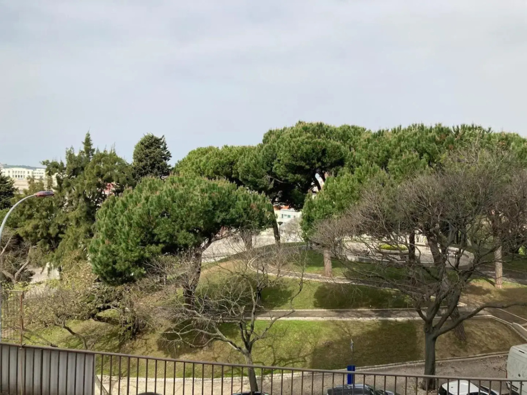 Luxury apartment near Fonte Luminosa