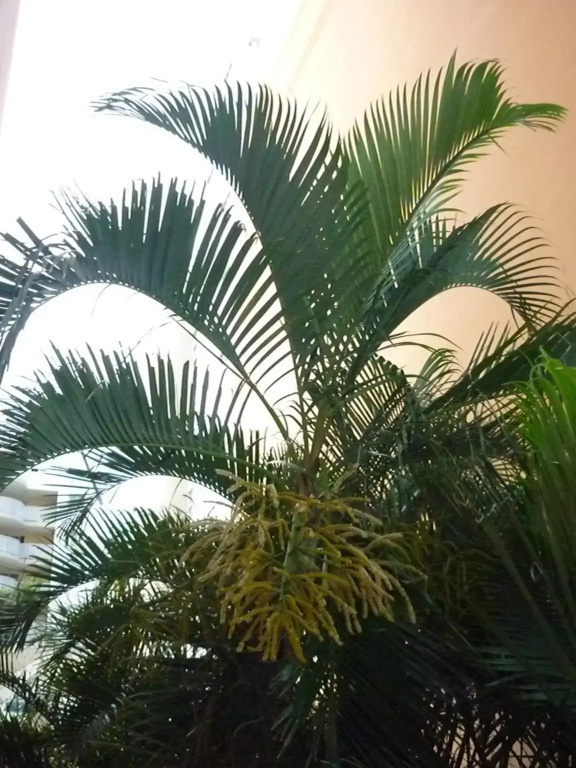 blue and yellow, appartement au calme, avec piscine, WIFI