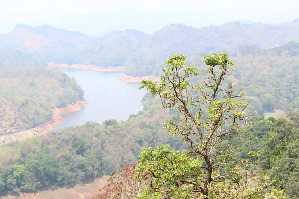 Ragamaya Resort & Spa Munnar - Chambres