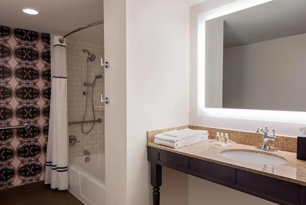 Holiday Inn FRENCH QUARTER-CHATEAU LEMOYNE by IHG - Général
