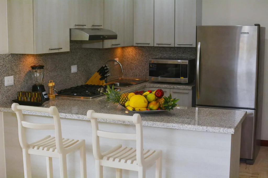 El Portillo Residences - Général