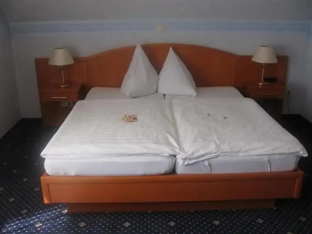 Standard Double room (full double bed)