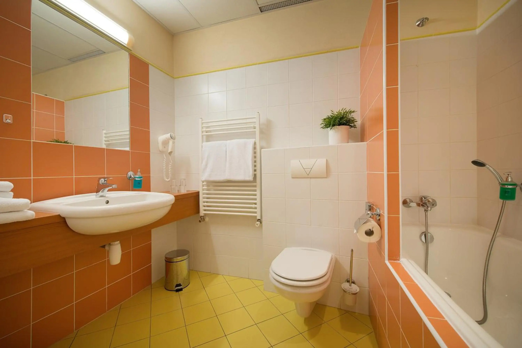 Hotel Grand Litava Beroun - Général