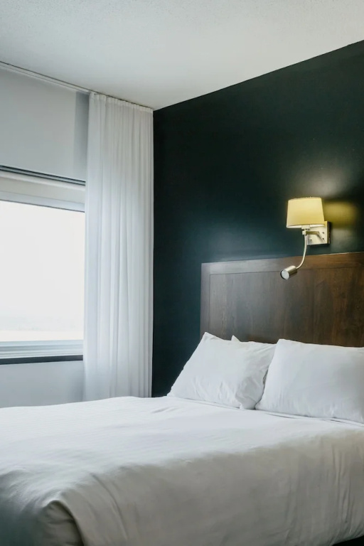 Comfort Double Basement room with city view (full double bed)