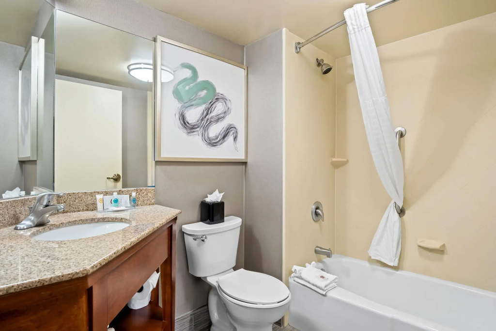 Comfort Inn Cadillac - Général